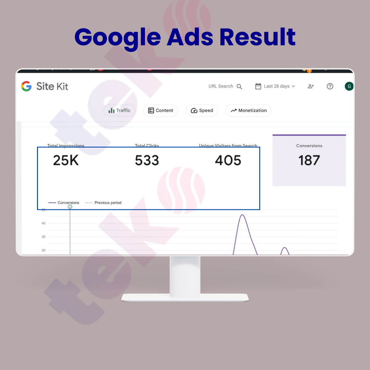 Google Ads Campaign Result