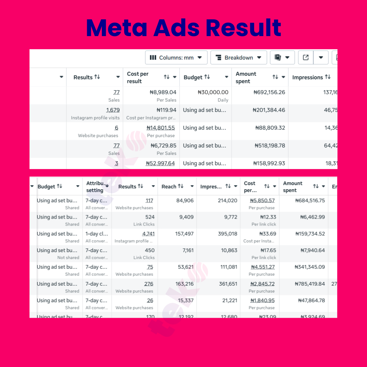 Meta Ads Result